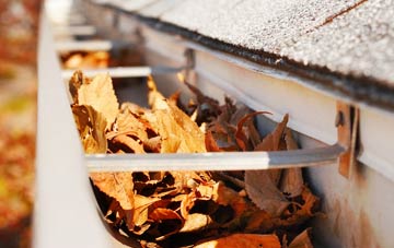 Layer De La Haye gutter cleaning companies