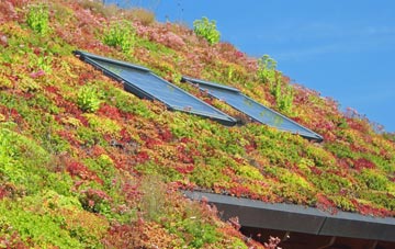 Layer De La Haye living roof systems