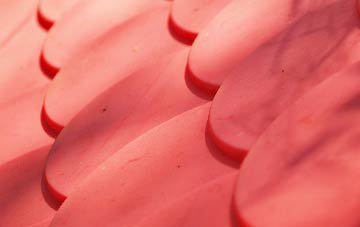 Layer De La Haye plastic roof costs