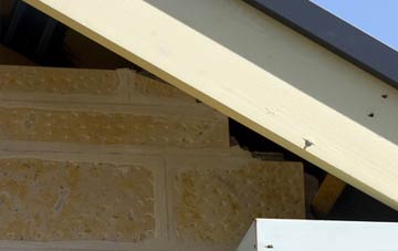 soffit repair Layer De La Haye
