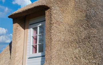 Layer De La Haye thatch roof disadvantages