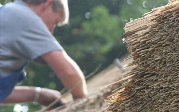 professional Layer De La Haye thatchers